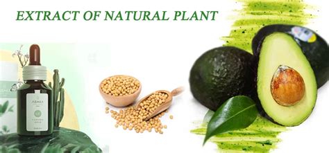 Factory Direct Supply Plant Extract Avocado Soybean Unsaponifiables Asu