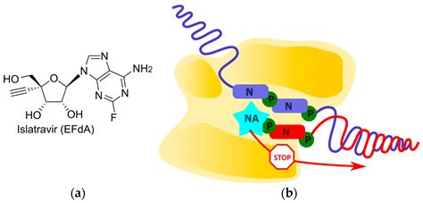 Cimb Free Full Text Recent Advances In Molecular Mechanisms Of