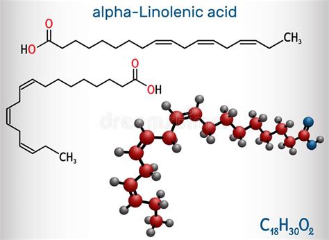 Omega 6 Polyunsaturated Fatty Acids Linoleic Acid La Gamma Linolenic