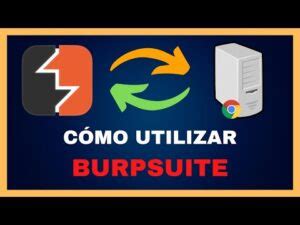 Herramientas de hacking ético Todo lo que debes saber sobre Burp Suite