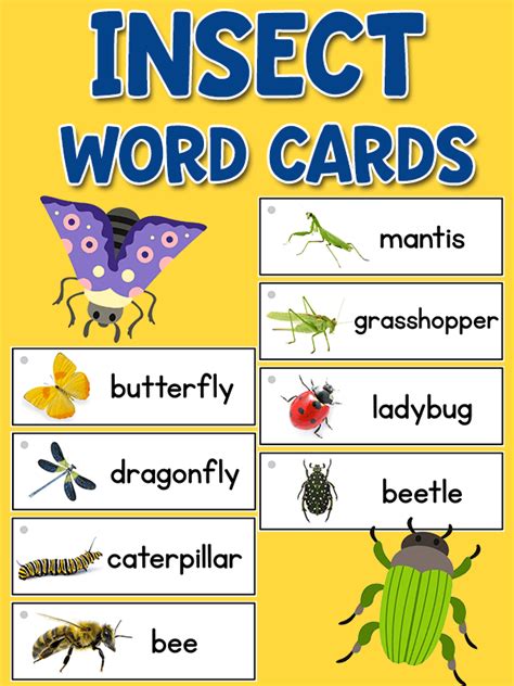 Insect Picture Word Cards Prekinders Preschool Activities