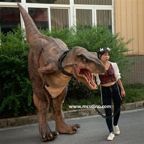 Realistic T-rex Costume-DCTR629