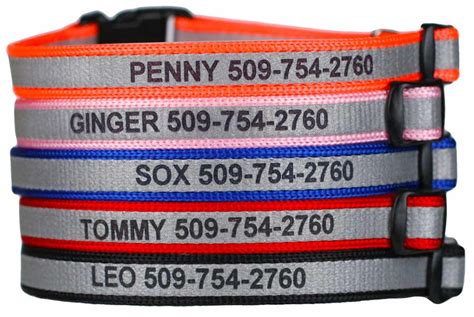 Personalized Cat Collars | Breakaway & More – GoTags