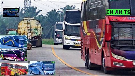 Hunting Pagi Bus Sumatera Melintas Di Seputaran Sungai Mandau Km