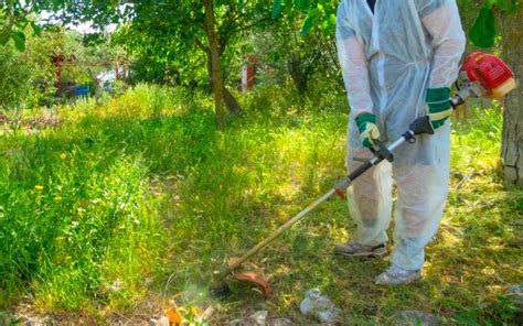 Desbroces de parcelas y limpieza de terrenos Guía práctica