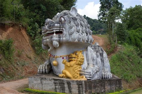 Premium Photo | China lion statues