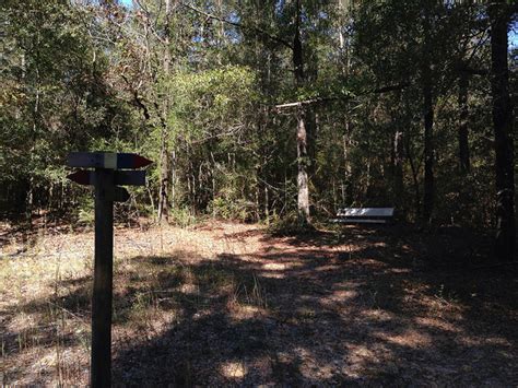 Lakewood Park: Florida's High Point at Britton Hill | Florida Hikes!