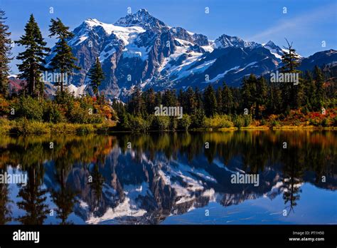 Picture Lake With Autumn Colors And Mount Shuksan In Background