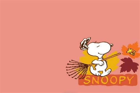 Snoopy Desktop Wallpapers - Top Free Snoopy Desktop Backgrounds ...