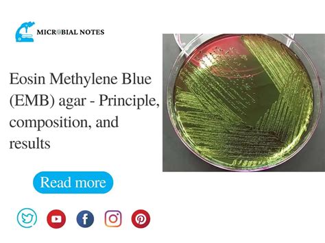 EMB Agar Eosin Methylene Blue Agar, 60% OFF | www.elevate.in