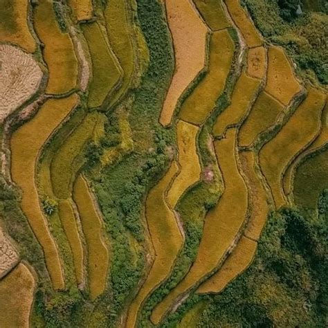 "The Beauty of Kalinga 🇵🇭 feat: Buscalan Village Philippines" . Story and Video by ...