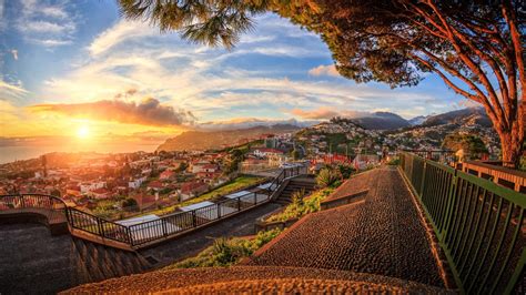 Where To Stay In Funchal Madeira Island An Island Apart