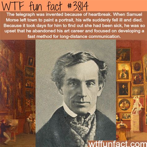 35 Fun And Wtf Facts To Expand Your Mind Artofit