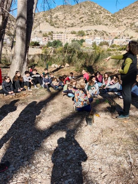 Día del árbol 2024 CRA LA SERRANÍA