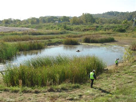 No signs of toxic pollutants were found.