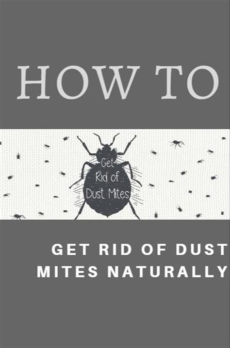 How To Get Rid Mites Get Rid Of Dust Mites Naturaly Ebook