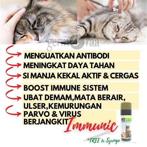 Ubat Demam Kucing Cirit Parvo Virus Ulser Immune Booster For Cat Pet