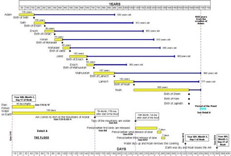 Chart of Lifespans before the Flood | Bible timeline, Biblical ...