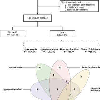 Flowchart Of The Study Population Flow Chart Depicting Study