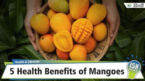 5 Health Benefits Of Mangoes Ish News Youtube