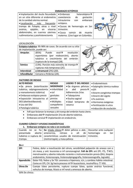 Embarazo Ectopia Gineco Obstetricia Conceptosmedicina Udocz