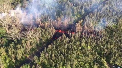 Buscandolado La Verdad Mael Un Fuerte Terremoto De M Golpea Hawaii