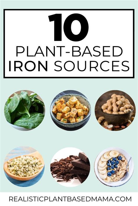 10 Easy Plant Based Sources Of Iron Foods High In Iron Base Foods