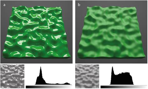 Frontiers Effects Of Shape Roughness And Gloss On The Perceived