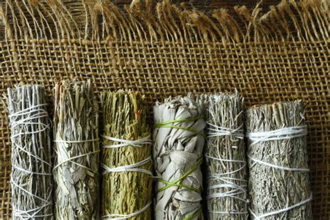 35 Best Herbs For Smudging Your Zen Growth