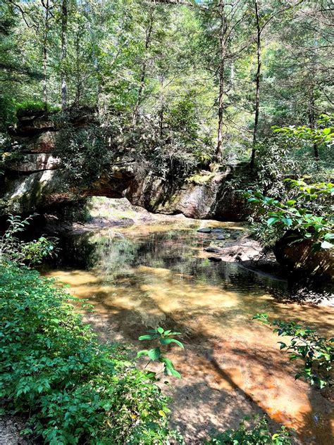 The Best Things To Do In Red River Gorge Ky Hiking Food And More Artofit