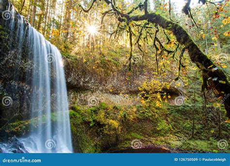 Lower South Falls In Silver Falls State Park Oregon In Autumn Stock