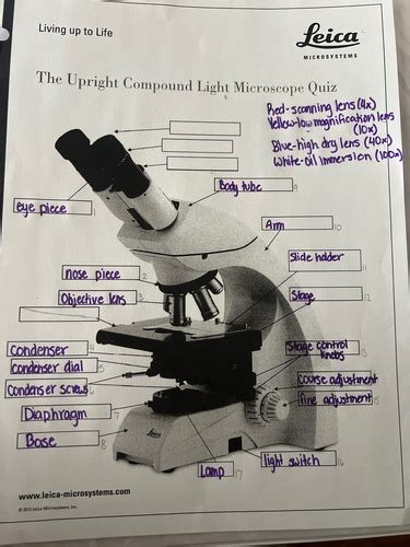 Microbiology Practical Flashcards Quizlet