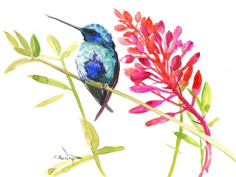 Hummingbird And Flowers Original Watercolor Painting Hummingbird Wall