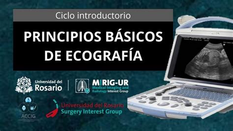 Principios Básicos de Ecografía Ciclo introductorio MIRIG UR