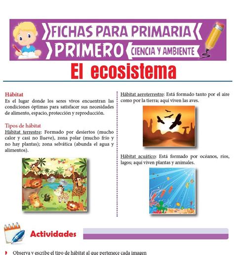 Que Es Un Ecosistema Para Primero De Primaria Actividades Educativas