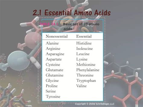 Biosynthesis Of Aminoacids Ppt