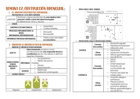 Semana 07 SEMANA 07 OBSTRUCCIN BRONQUIAL 1 El síntoma obstructivo