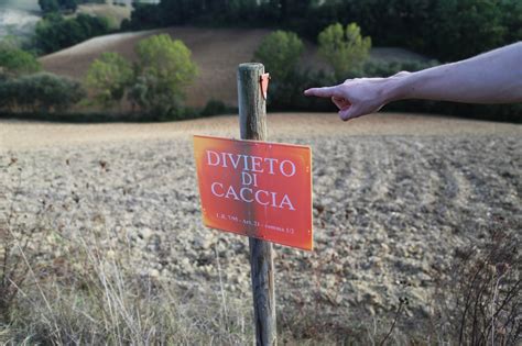 Caccia Il Tar Sospende La Preapertura Cronache Ancona Cronache Ancona