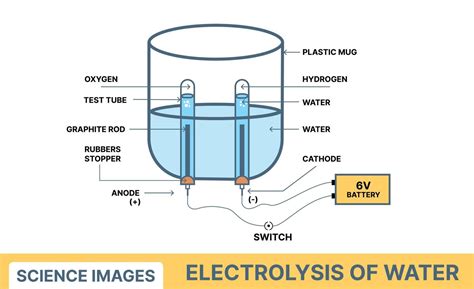 Electrolysis of water 8996290 Vector Art at Vecteezy