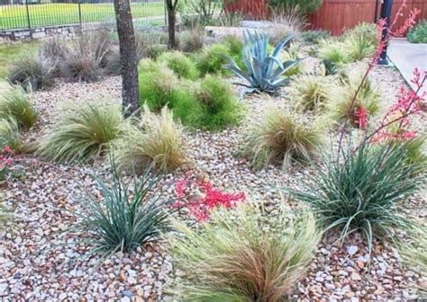 A Beginner S Guide To Xeriscaping Creating A Beautiful And Water