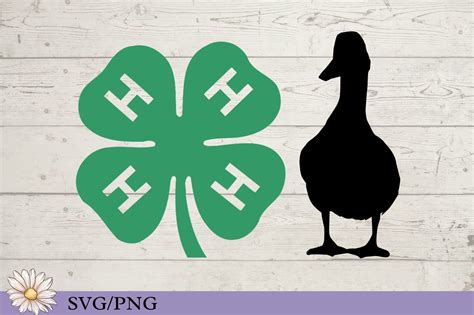 H Clover Svg For Decals H Poultry Showmanship Svg For T Shirt H