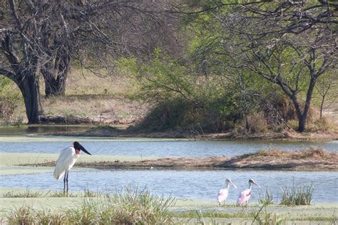 The Chaco Places To Visit Paraguay Journey Latin America