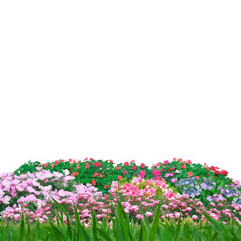 Flower And Grass Garden Flower Grass Garden Png Transparent Clipart