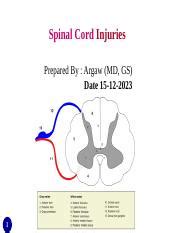 Spinal Cord Injuries C1MS Lecture Pptx Spinal Cord Injuries