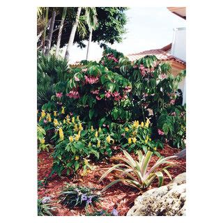 Shade Color For A Boca Raton Landscape Tropical Landscape Miami