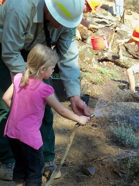 Ten Things You Can Do To Help Our National Forests National Forest