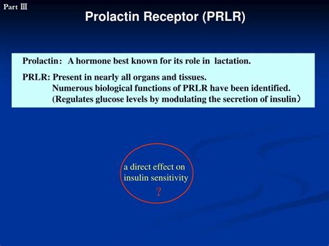 Ppt Mechanisms For Improved Insulin Sensitivity By Branched Chain