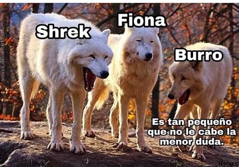 Sherk Fiona Burro Es Tan Peque O Que No Le Cabe La Menor Duda Memes