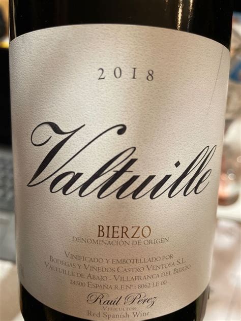 Bodegas Y Vi Edos Castro Ventosa Bierzo Valtuille Vino De Villa