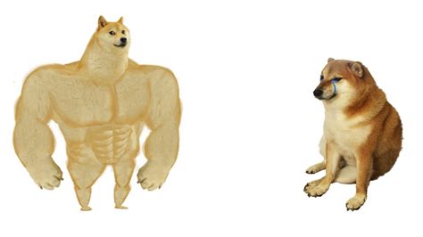 Swole Doge vs. Cheems (aka strong doge and weak doge) HD Template Restored - (thanks & all ...